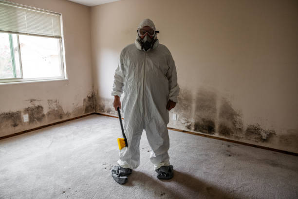 Best Mold Remediation for Specific Building Types in Lewisville, NC